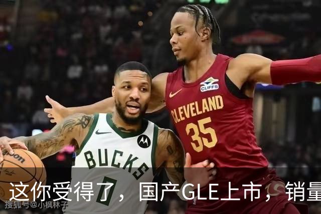 这你受得了，国产GLE上市，销量趴窝了。